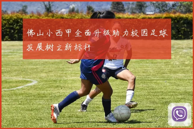 佛山小西甲全面升级助力校园足球发展树立新标杆